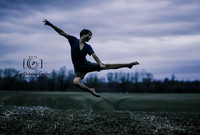 Art in Motion